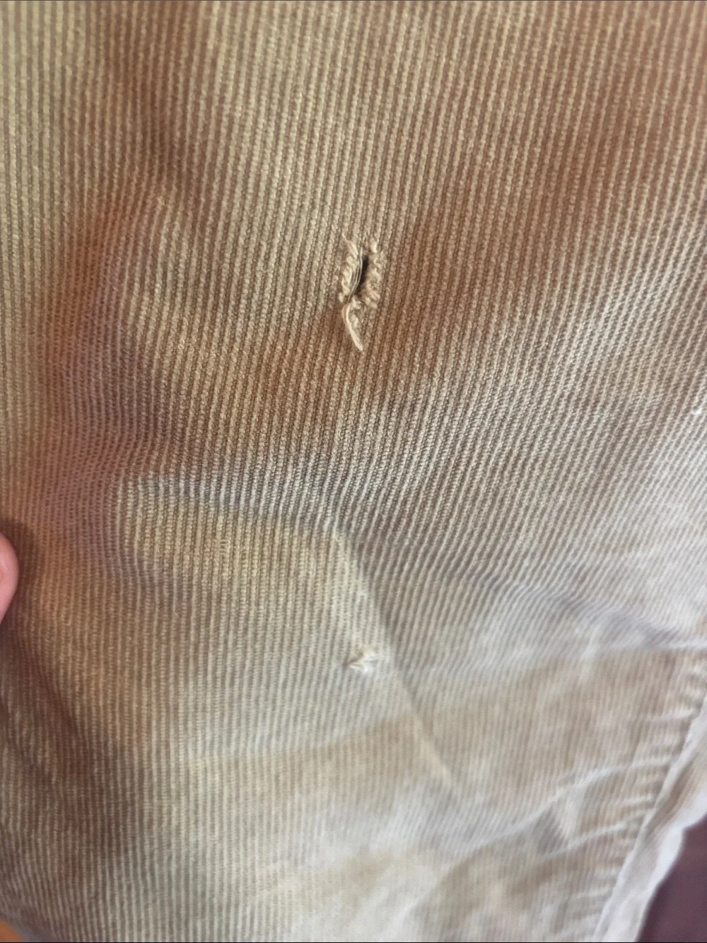 Place Boy’s Tan Chino Pants